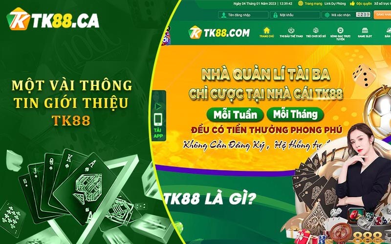 Một vài thông tin giới thiệu TK88