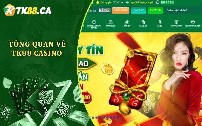 Tổng quan về TK88 Casino