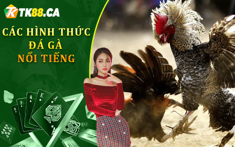Các hình thức đá gà nổi tiếng tại TK88