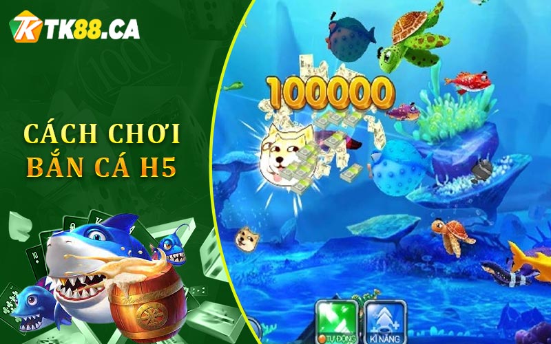 Cách Chơi Bắn Cá H5