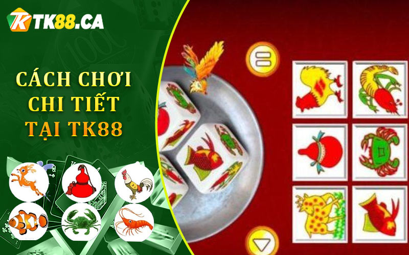 Cách Chơi Chi Tiết Tại TK88