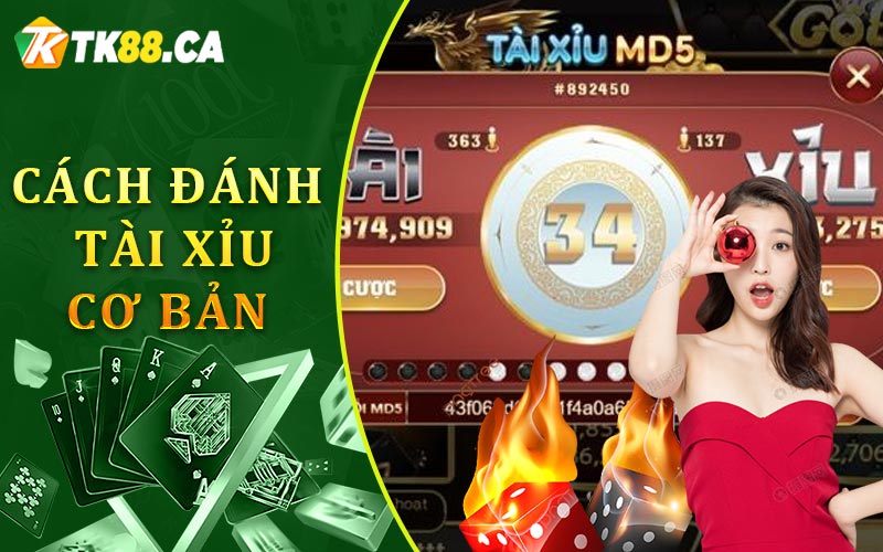 Cách Đánh Tài Xỉu Cơ Bản