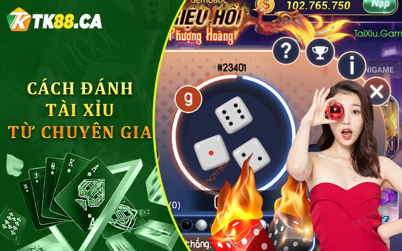 Cách Đánh Tài Xỉu Từ Chuyên Gia