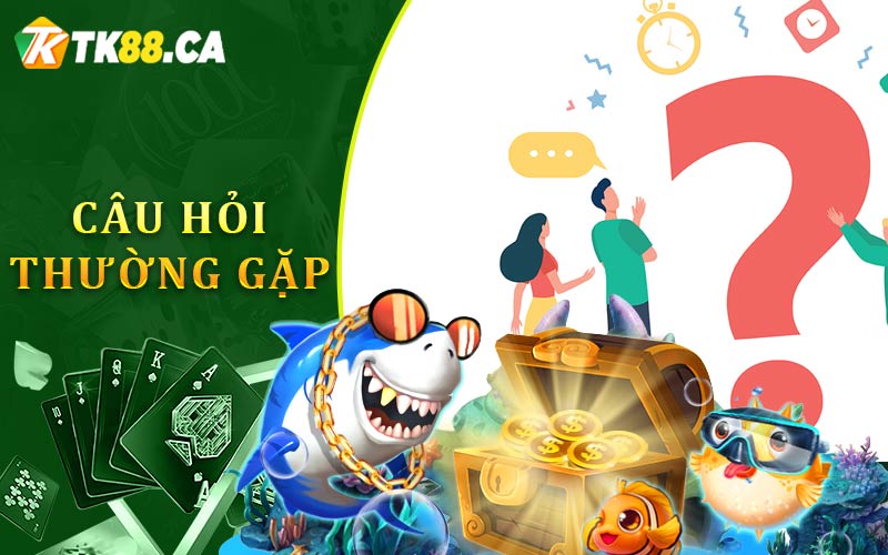 Câu Hỏi Thường Gặp