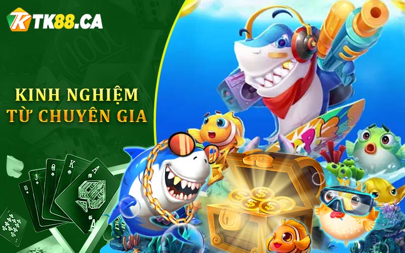 Kinh Nghiệm Từ Chuyên Gia