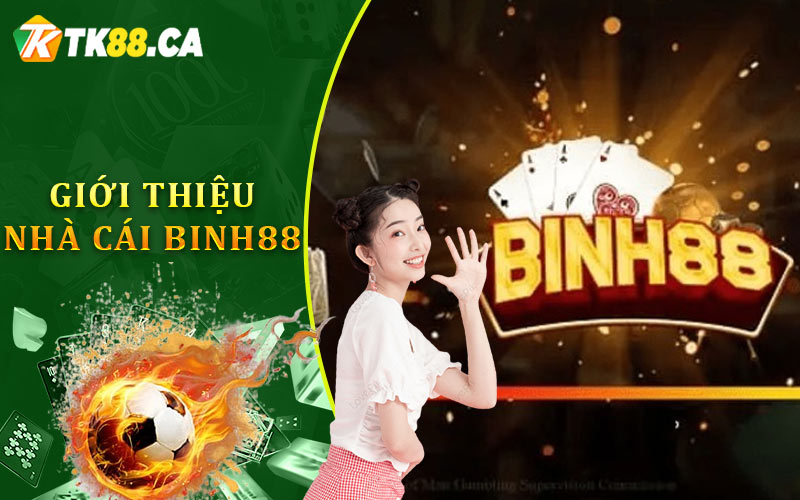 Lịch Sử Phát Triển Nhà Cái Binh88