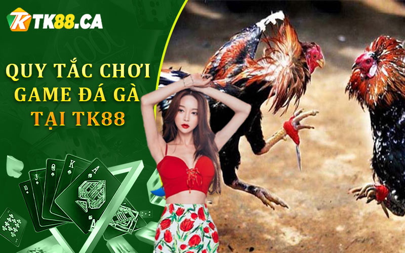 Tìm hiểu quy tắc chơi game đá gà tại TK88