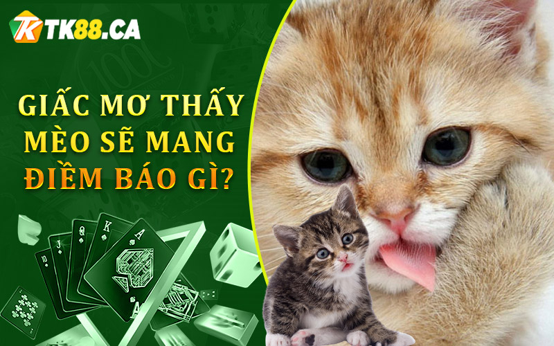 Giấc mơ thấy mèo sẽ mang điềm báo gì?