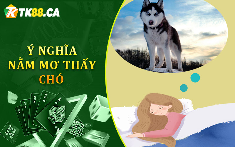 Giải Mã Ý Nghĩa Khi Nằm Mơ Thấy Chó