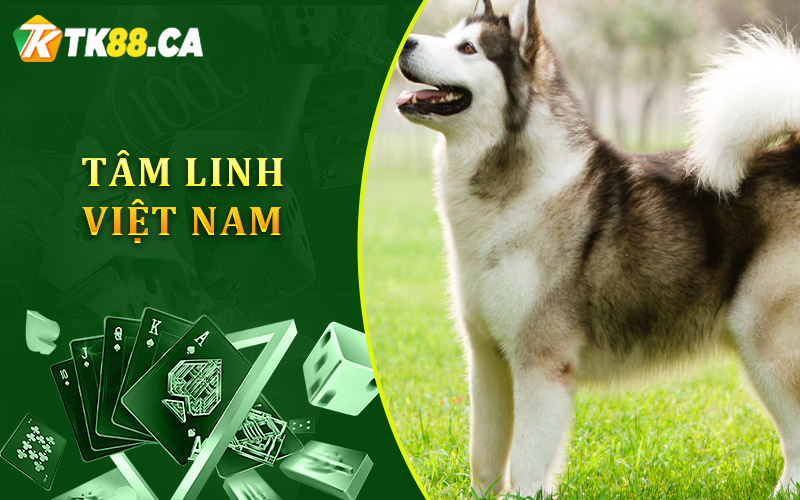 Huyền Bí Trong Tâm Linh Việt Nam