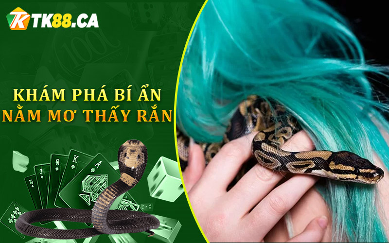 Khám phá bí ẩn nằm mơ thấy rắn