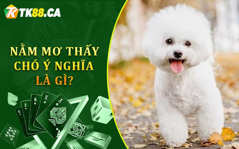 Nằm Mơ Thấy Chó Mang Ý Nghĩa Gì?