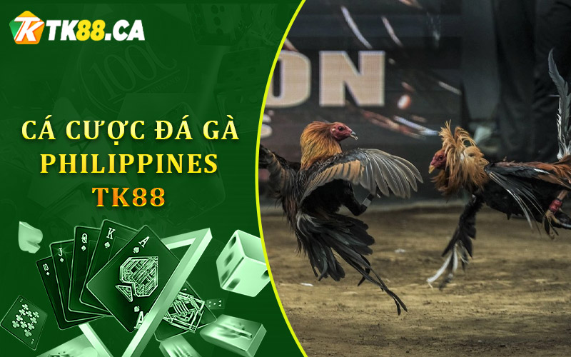 Tìm hiểu thêm về cá cược Đá gà Philippines TK88