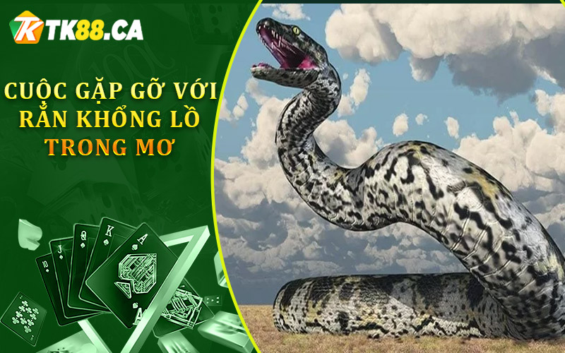 cuộc gặp gỡ với rắn khổng lồ trong mơ