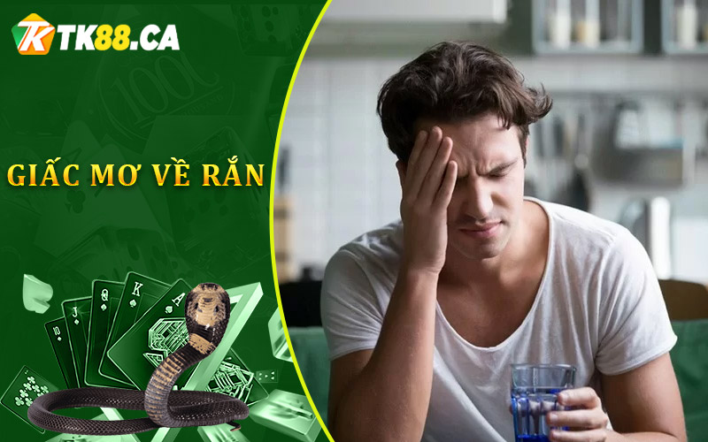 giấc mơ về rắn xuất hiện thường xuyên
