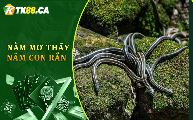 nằm mơ thấy năm con rắn