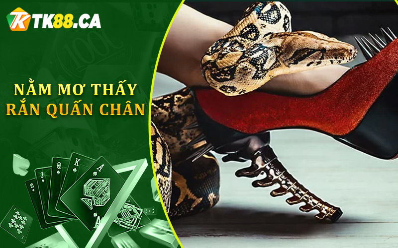 nằm mơ thấy rắn quấn chân