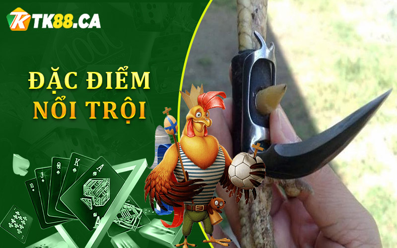 Đặc điểm nổi trội của hình thức chơi đá gà cựa sắt