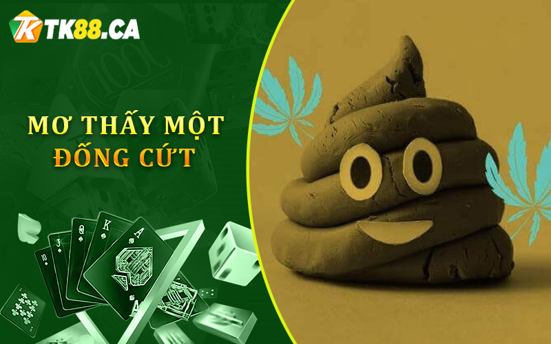 Khi bạn mơ thấy một đống phân, cứt lớn