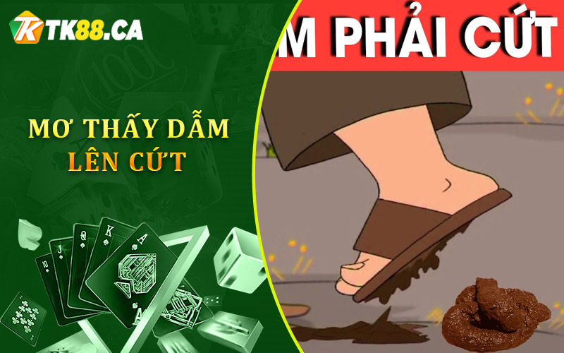 Khi bạn mơ về việc dẫm lên phân, cứt