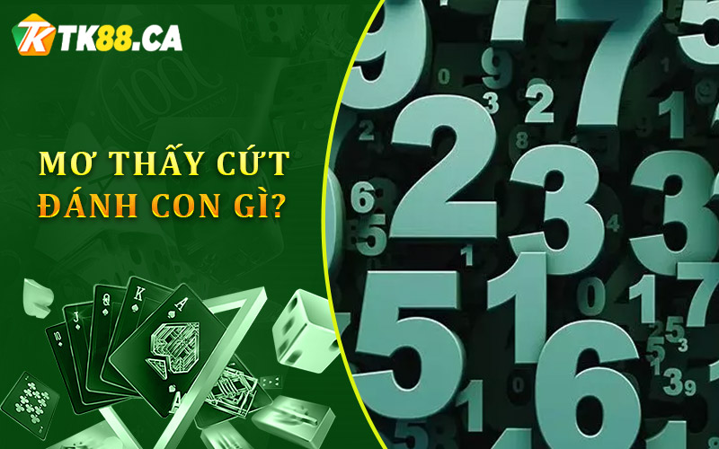Mơ thấy cứt đánh con gì?