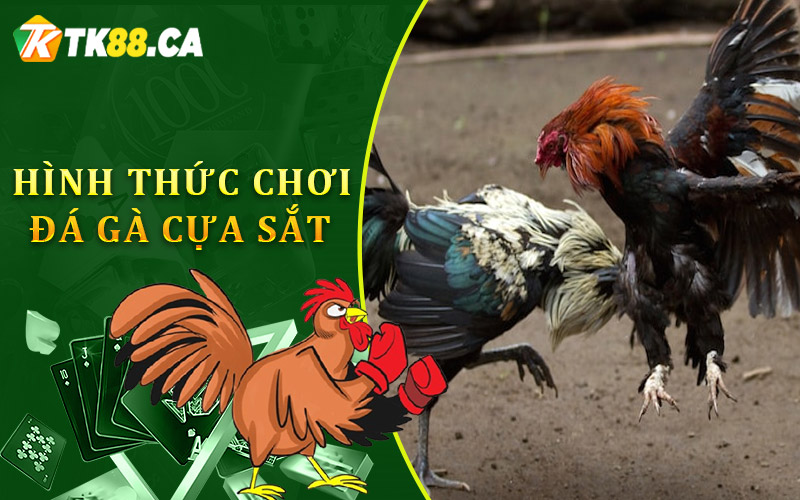 Tổng quan về hình thức chơi đá gà cựa sắt