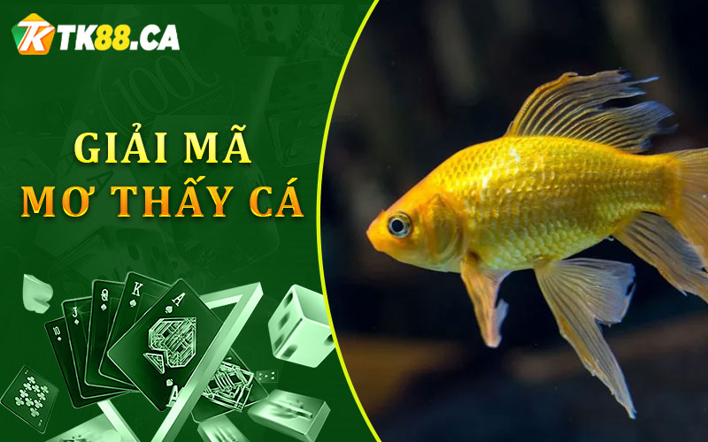 Giải mã mơ thấy cá